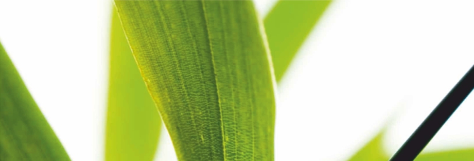 Ihre Physiotherapie und Massagepraxis Brigant in Calw-Stammheim begr&uuml;&szlig;t Sie herzlich